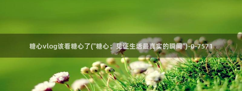  91制片厂糖心vlog玩偶：糖心vlog该看糖心了(\