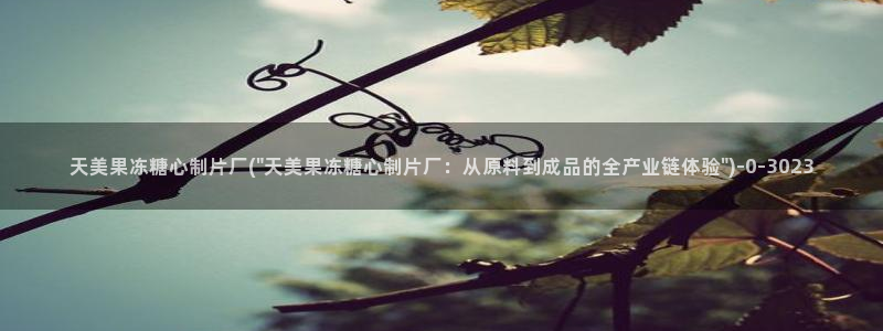  心糖vlog免费观看：天美果冻糖心制片厂(\