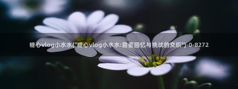  糖心成年版vlog：糖心vlog小水水(\