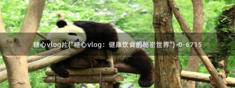  糖心vlog的：糖心vlog片(\