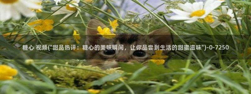  糖心vlog破解版免费下载：糖心 视频(\