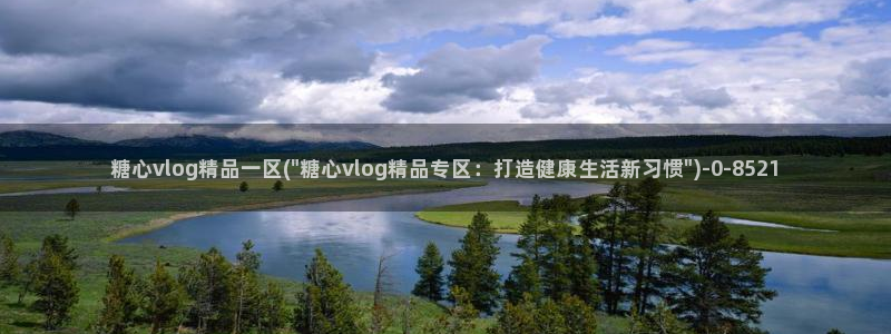  糖心vlog视频免费：糖心vlog精品一区(\