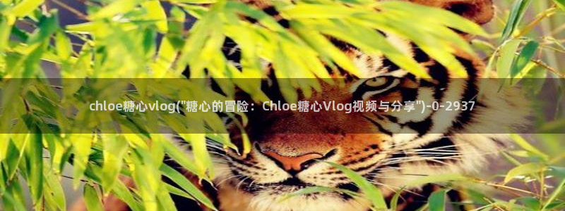  糖心vlog网站免费观看：chloe糖心vlog(\