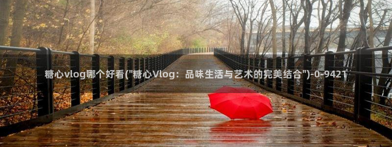 51糖心vlog