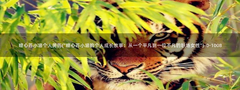 糖心vlog短视频