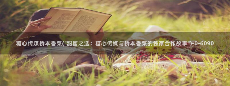 糖心vlog在线观看星辰