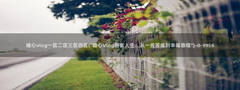 糖心vlog下